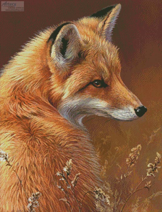 Red Fox Profile - Click Image to Close